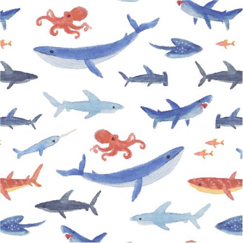 Muslin Blanket Shark